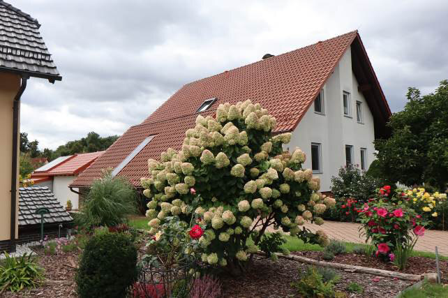 Einfamilienhaus in Lohsa - Bild 2