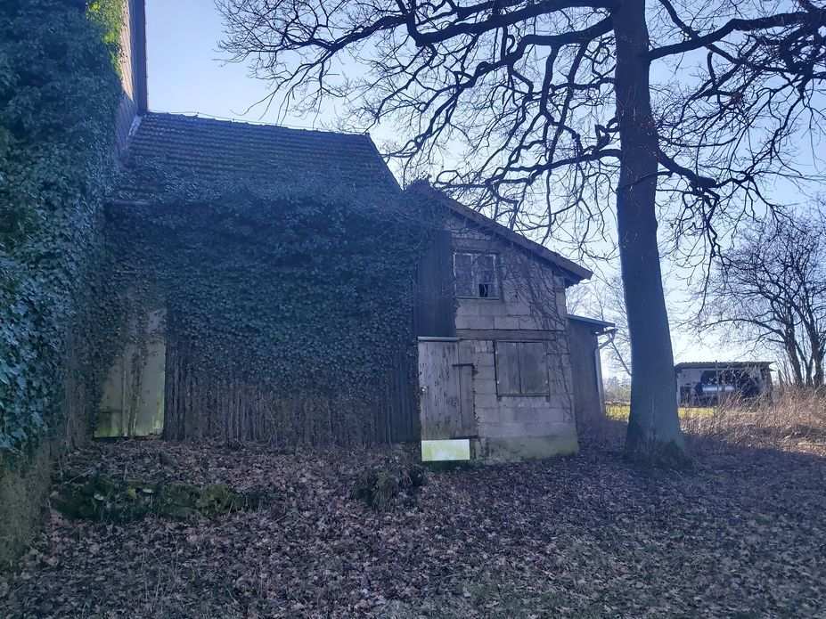 Wochenendhaus und rückwärtiger Anbau in Höxter - Bild 4