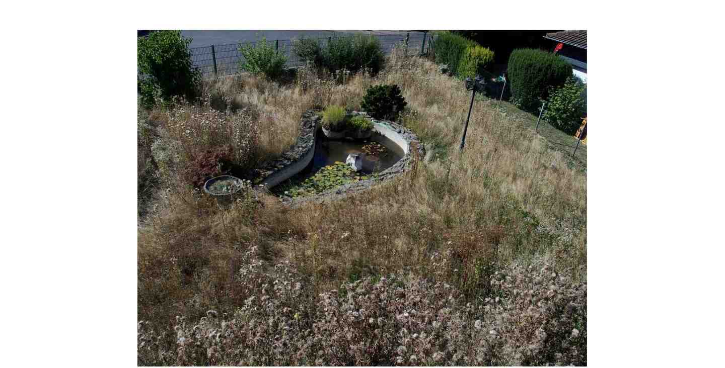 Zweifamilienhaus in Assenheim - Bild 3