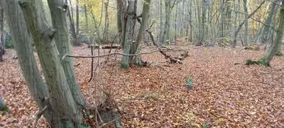 land- und forstwirtschaftlich genutztes Grundstück in Im Faulen, 53347 Alfter, Impekoven - Bild 1