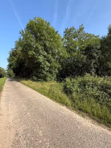 land- und forstwirtschaftlich genutztes Grundstück in Hergersweiler - Bild 4