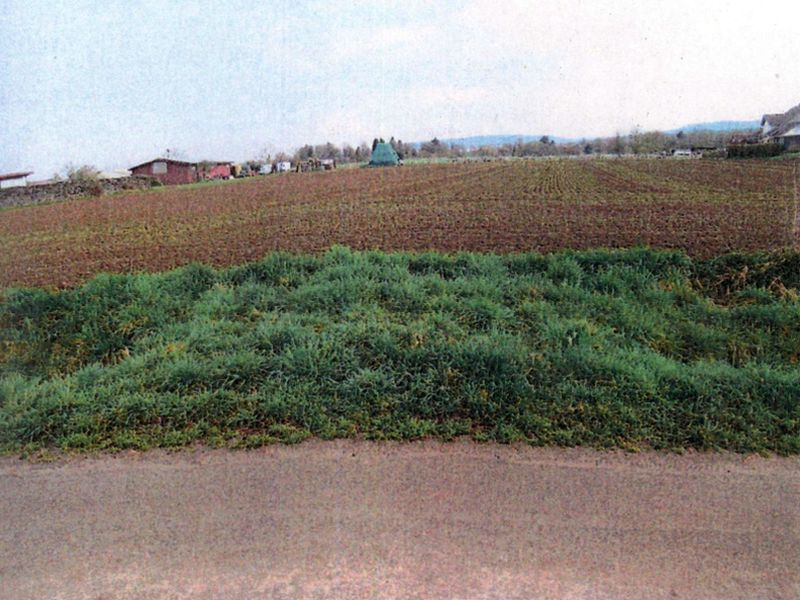 Landwirtschaftsflächen in Neuenstadt - Bild 1