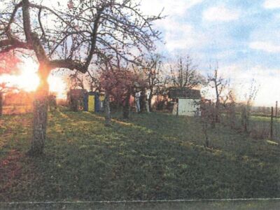 Freizeitfläche mit Streuobstwiese in Fleiner Straße, 74081 Heilbronn - Bild 2