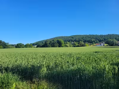 land- und forstwirtschaftlich genutztes Grundstück in Das Pfarrfeld, 32549 Bad Oeynhausen - Bild 1