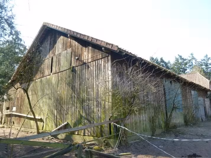 land- und forstwirtschaftlich genutztes Grundstück in Visselhövede - Bild 2