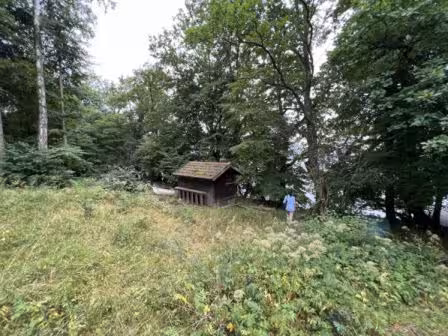 land- und forstwirtschaftlich genutztes Grundstück in Seehausen a. Staffelsee - Bild 11