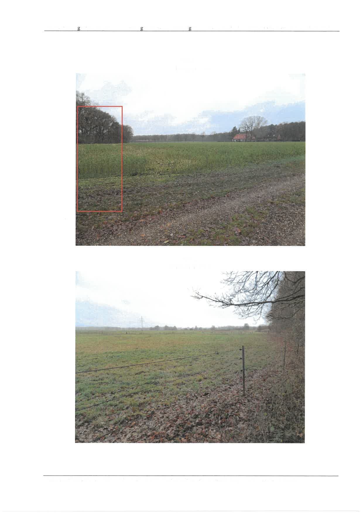 Sonstiges in Essel - Bild 3