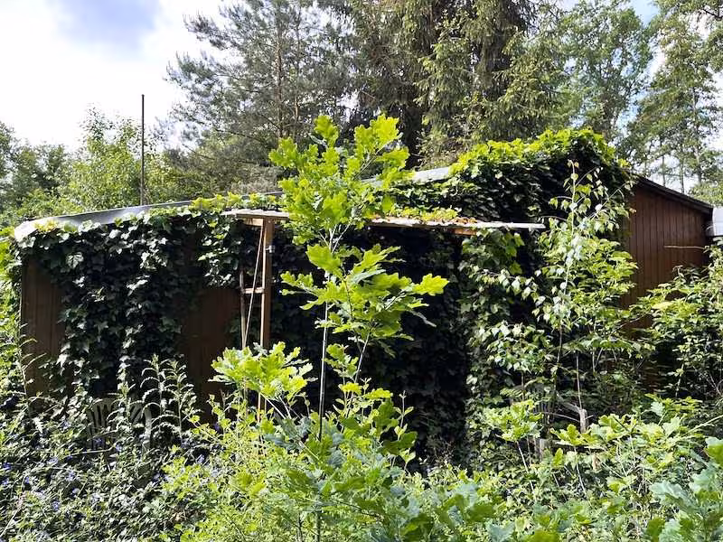 Wochenendhaus in Schönebeck (Elbe) - Bild 1