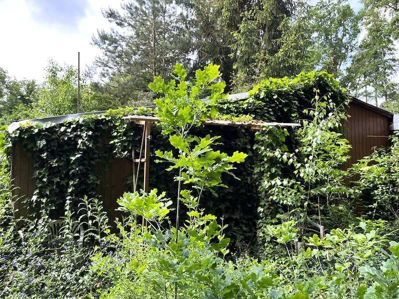 Wochenendhaus in Schönebeck (Elbe) - Bild 1