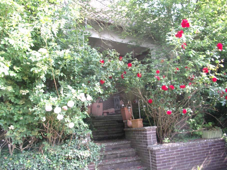 Einfamilienhaus in Rinteln - Bild 2