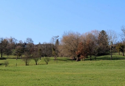 Grünland in Buckelwiesen (Nähe Neumühle 1), 73760 Ostfildern - Bild 1
