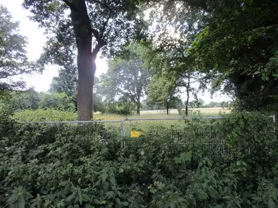 Sonstiges in Droper Straße 8, 49838 Gersten - Bild 1