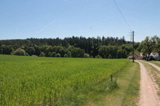 land- und forstwirtschaftlich genutztes Grundstück in Maxhütte-Haidhof - Bild 4