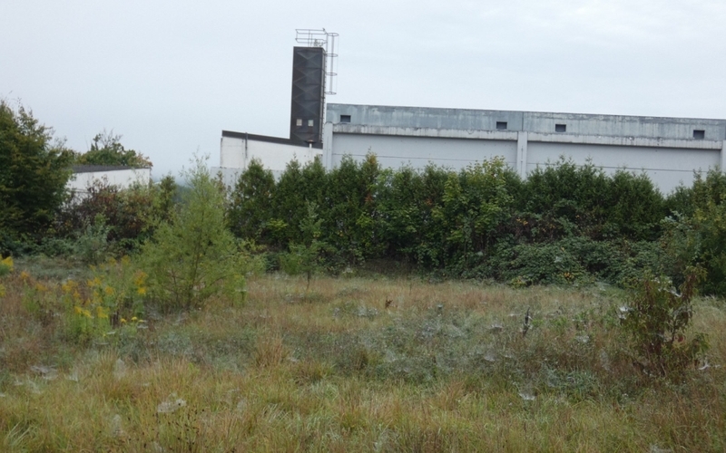 Unbebautes Grundstück in Oberrot - Bild 1