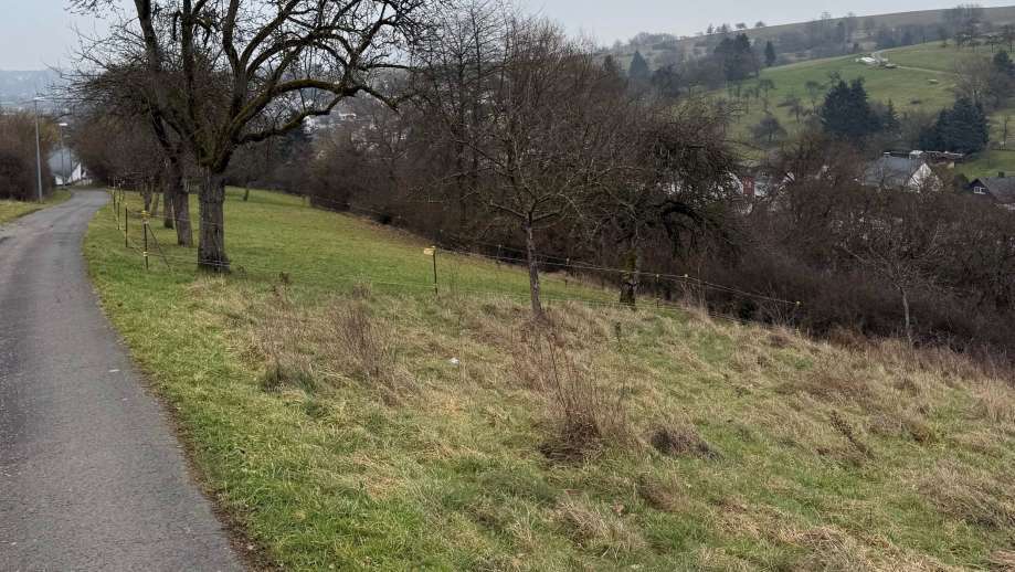 Sonstiges in Aßlar - Bild 4
