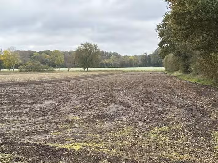 land- und forstwirtschaftlich genutztes Grundstück in Fürstenau - Bild 1