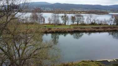 Wohn-/Geschäftshaus in Eschwege - Bild 4