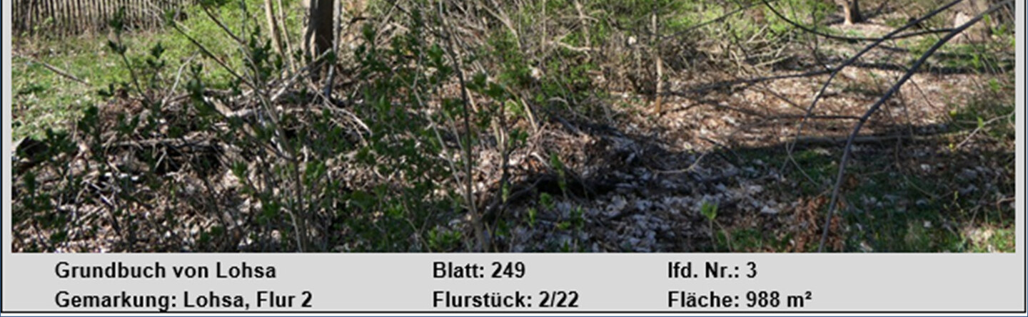 Sonstiges in Lohsa - Bild 2