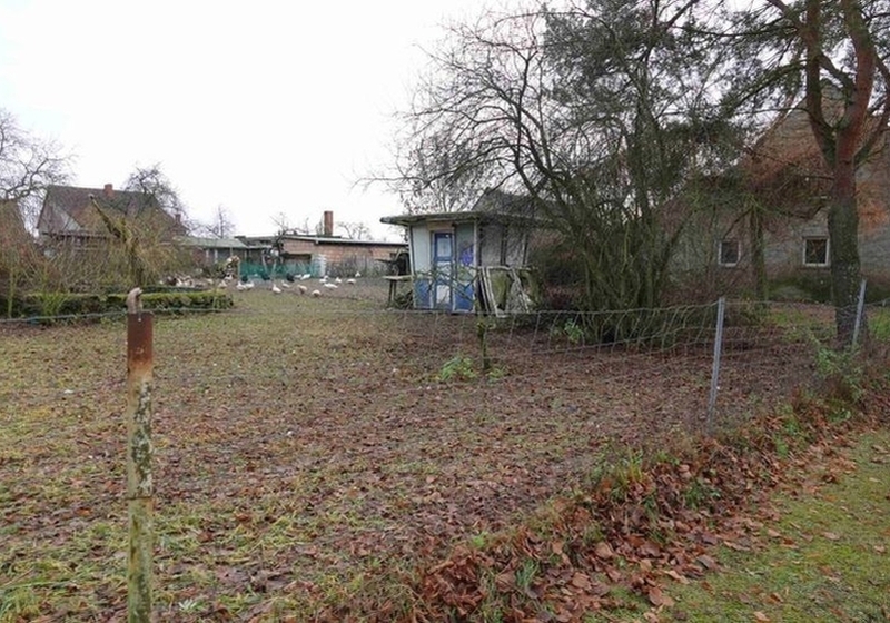 Wohnhaus mit Nebengebäude in Groß Spiegelberg - Bild 3