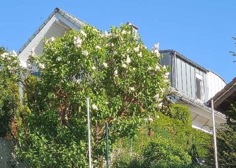 Einfamilienwohnhaus mit 2 Garagen in Sinsheim - Bild 2