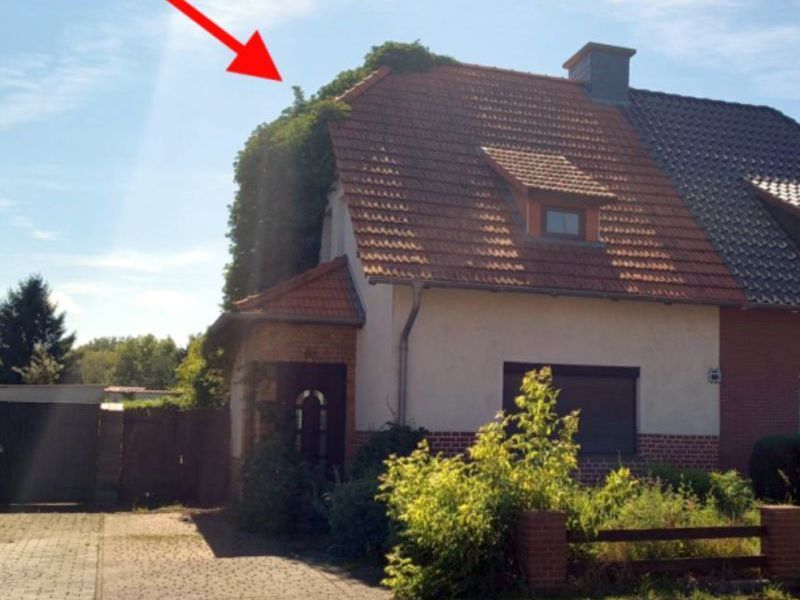 Doppelhaushälfte nebst Anbau in Barth - Bild 4