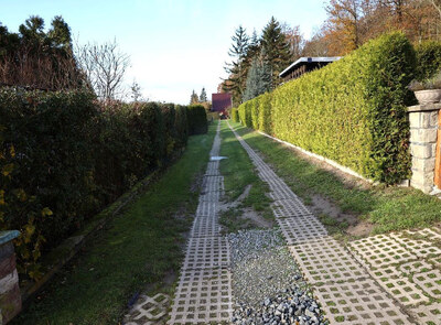 Sonstiges, Bungalow, Wald- und Verkehrsfläche in Am Waldbad, 00000 Görschen - Bild 1