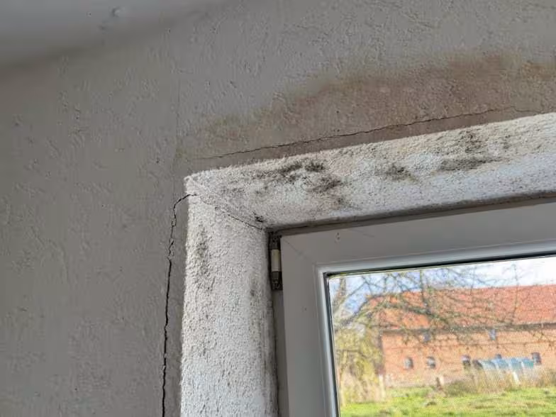 Mehrfamilienhaus in Einbeck - Bild 14
