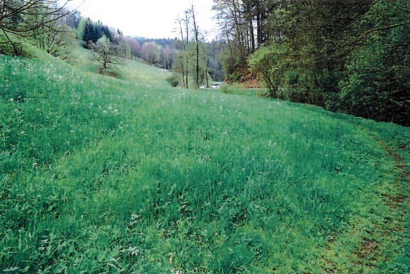 Landwirtschaftsflächen in Wüstenrot - Bild 3