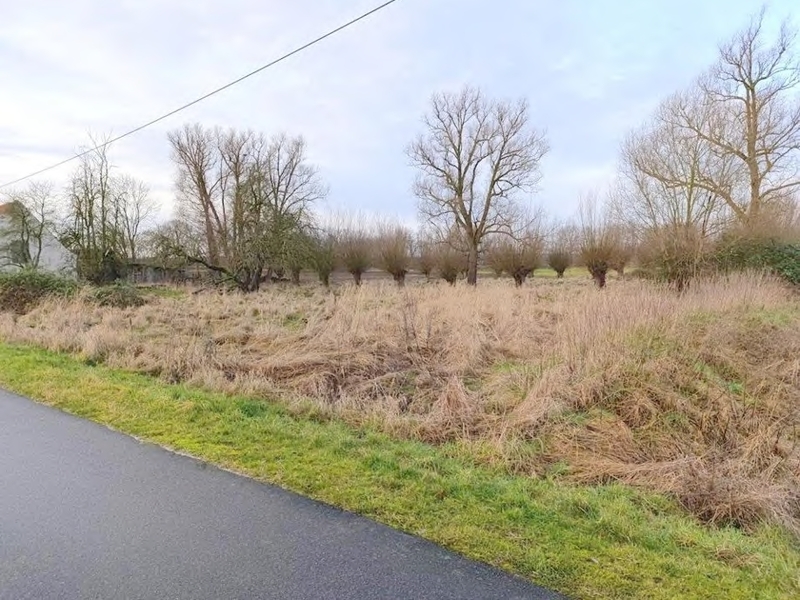Grünanlage/Fläche der Landwirtschaft in Levenhagen - Bild 1