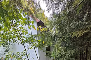 Einfamilienhaus, s. Beschreibung in Schneckenlohe - Bild 1