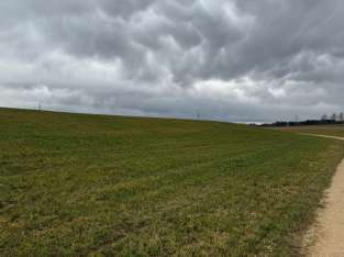 Landwirtschaftsfläche in Trostberg - Bild 4