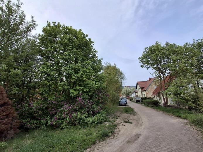 unbebautes Grundstück in Angermünde - Bild 4