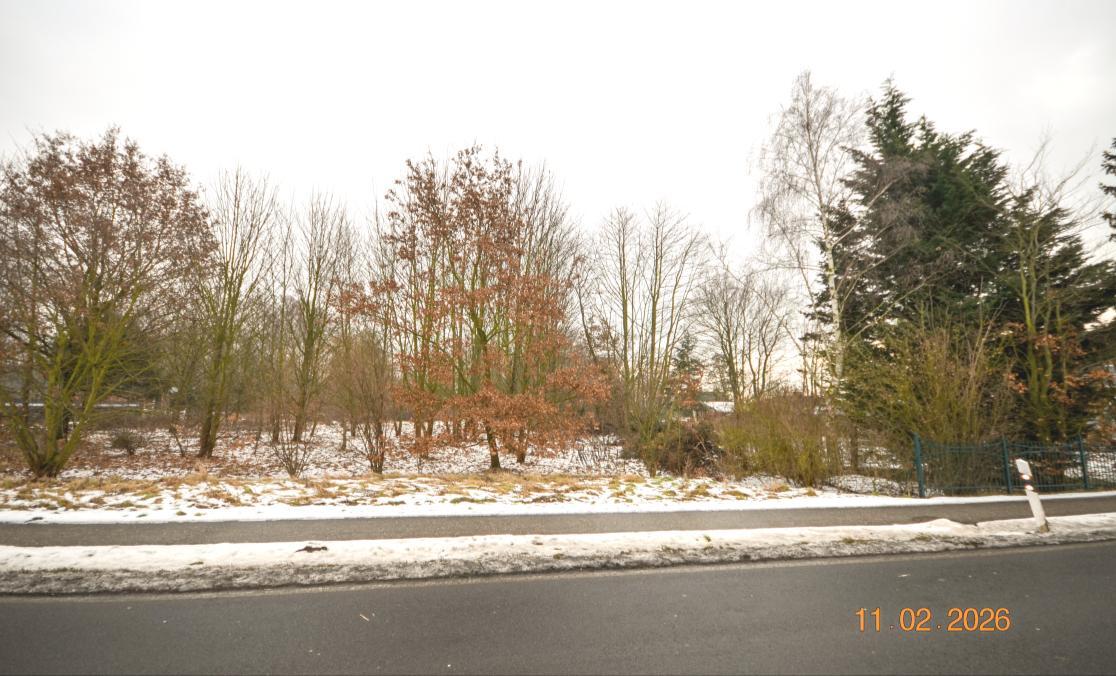 unbebautes Grundstück, Sonstiges in Schwante - Bild 1