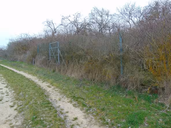 land- und forstwirtschaftlich genutztes Grundstück in Würzburg - Bild 1