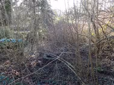 unbebautes Grundstück, (Gartenparzelle in einer Kleingartenanlage mit einem Kleingartenhaus) in Sprockhövel - Bild 1