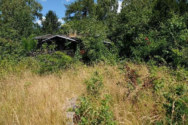 2 Grundstücke mit Gartenhaus/Wohngebäude in Berlin - Bild 2