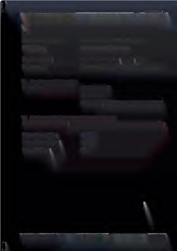 Reihengaragenanlage bestehend aus 8 Garagen in Koblenz - Bild 3