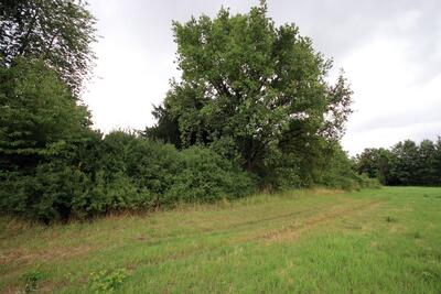 land- und forstwirtschaftlich genutztes Grundstück in Im Hain, 61184 Karben, Groß-Karben - Bild 1