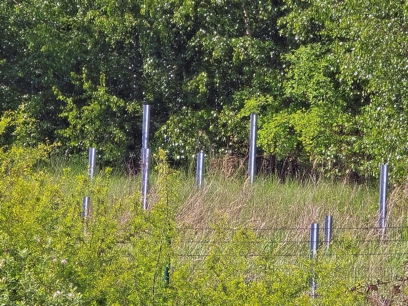 Bauerwartungsland in Bobitz - Bild 2