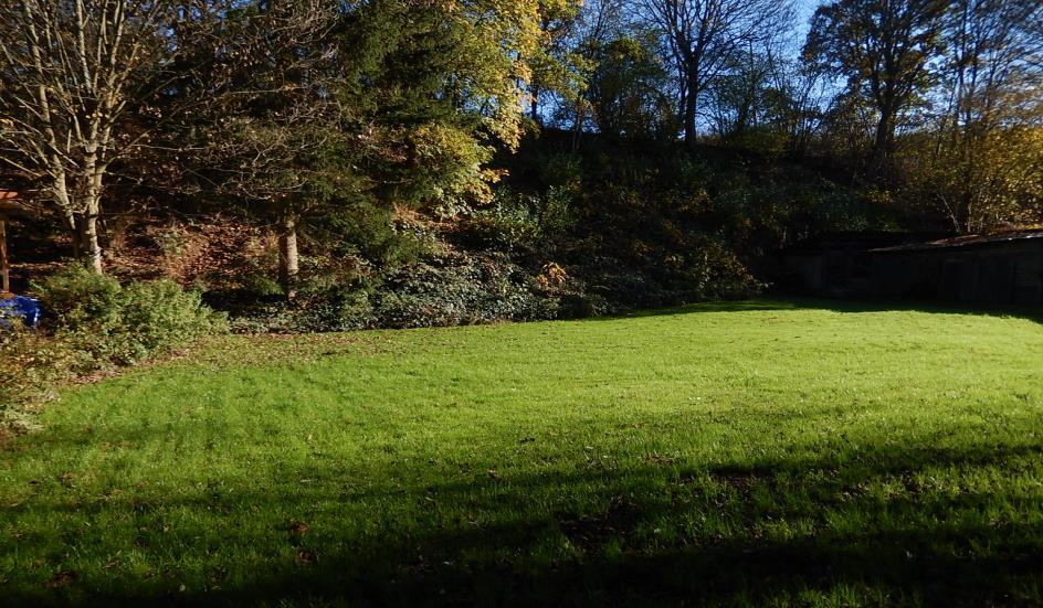 land- und forstwirtschaftlich genutztes Grundstück in Haiger - Bild 1