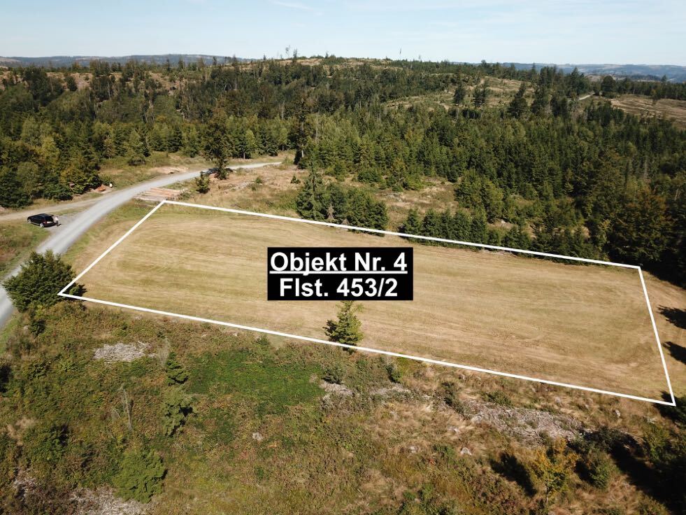 land- und forstwirtschaftlich genutztes Grundstück in Sonneberg - Bild 4