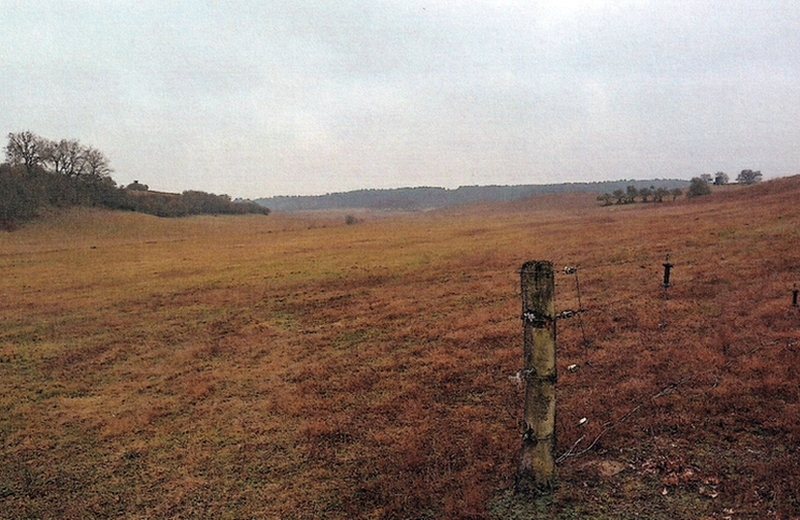 Land-/Forstwirtschaftsflächen in Eisenhüttenstadt - Bild 2