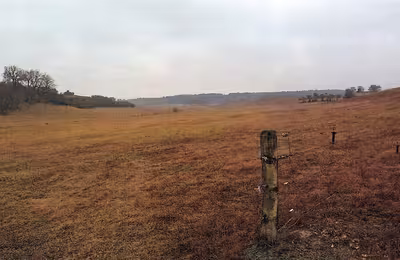 Land-/Forstwirtschaftsflächen in , 15890 Eisenhüttenstadt OT Diehlo - Bild 2