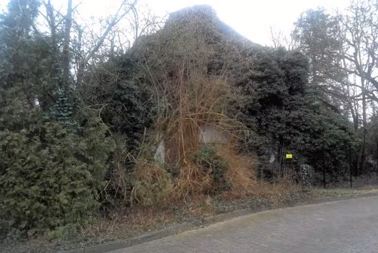 Sonstiges in Bruchhausen-Vilsen - Bild 4