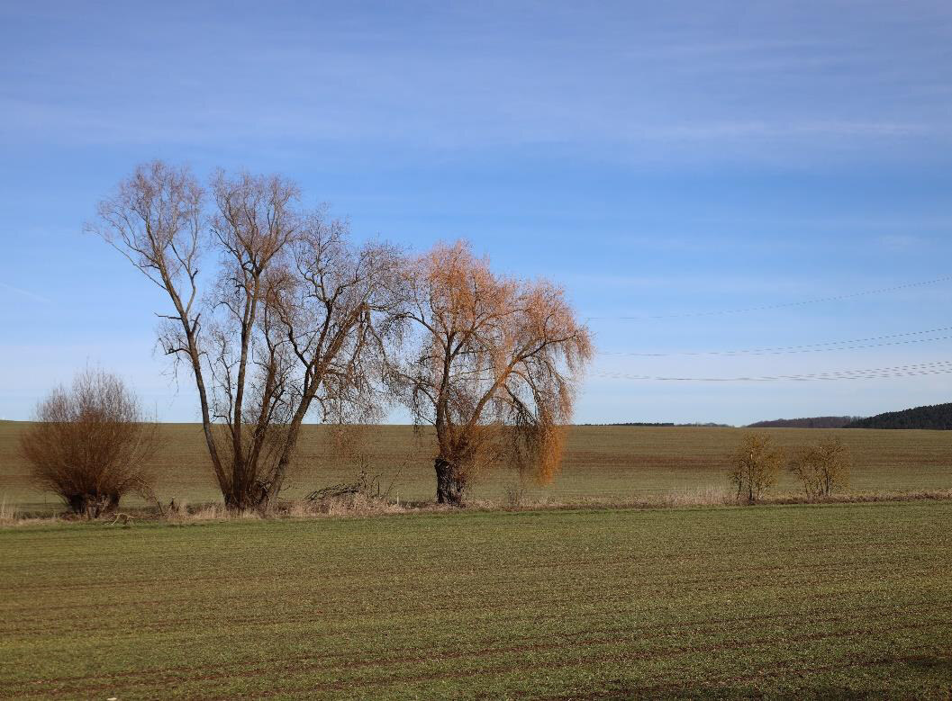 land- und forstwirtschaftlich genutztes Grundstück, Ackerland in An der Poststraße - Bild 1