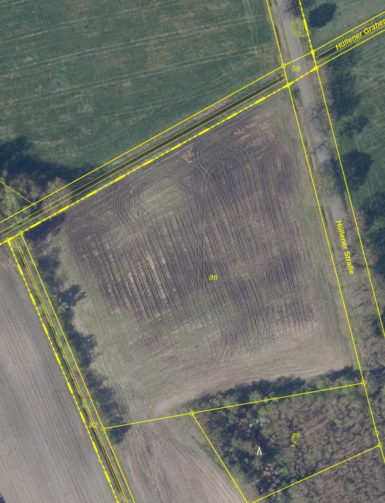 land- und forstwirtschaftlich genutztes Grundstück in Saterland - Bild 3