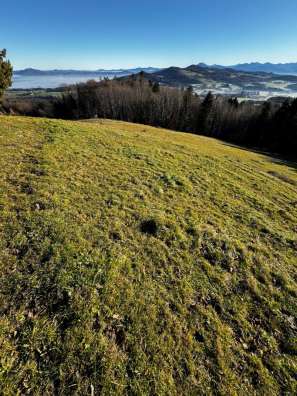Landwirtschaftsfläche in Anger - Bild 4