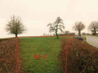 land- und forstwirtschaftlich genutztes Grundstück, Grünlandfläche in Bosseborn, 37671 Höxter, Bosseborn - Bild 1
