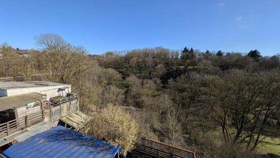 Einfamilienhaus in Grünberg - Bild 4