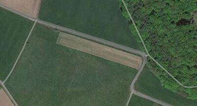 land- und forstwirtschaftlich genutztes Grundstück, Einfamilienhaus, Kfz-Stellplatz, Baugrundstück in Frankfurter Straße 6, 36179 Bebra, Blankenheim - Bild 2